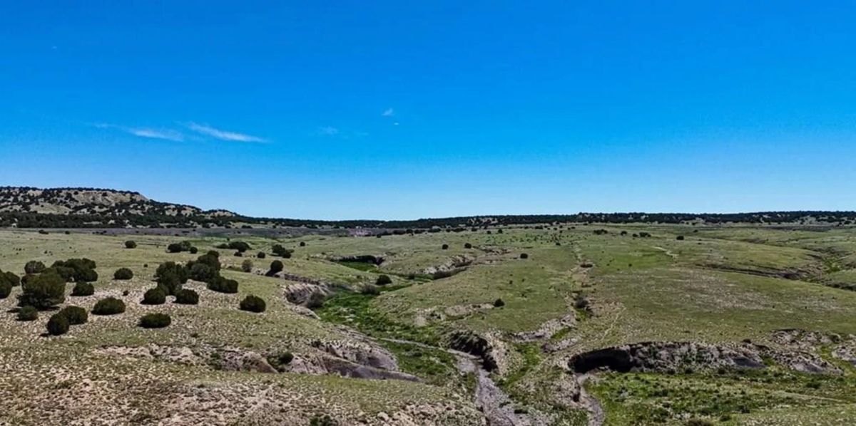 Decorative background for Colorado City Tract 307 image 6