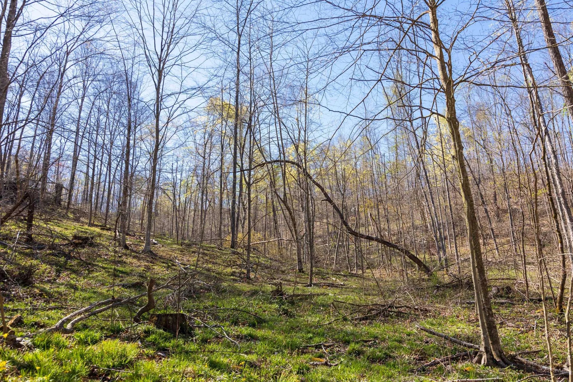 Creek Hollow Phase I Tract 44 in Rockcastle County, KY