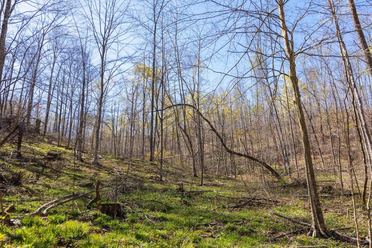 Creek Hollow Phase I Tract 44 - Main image