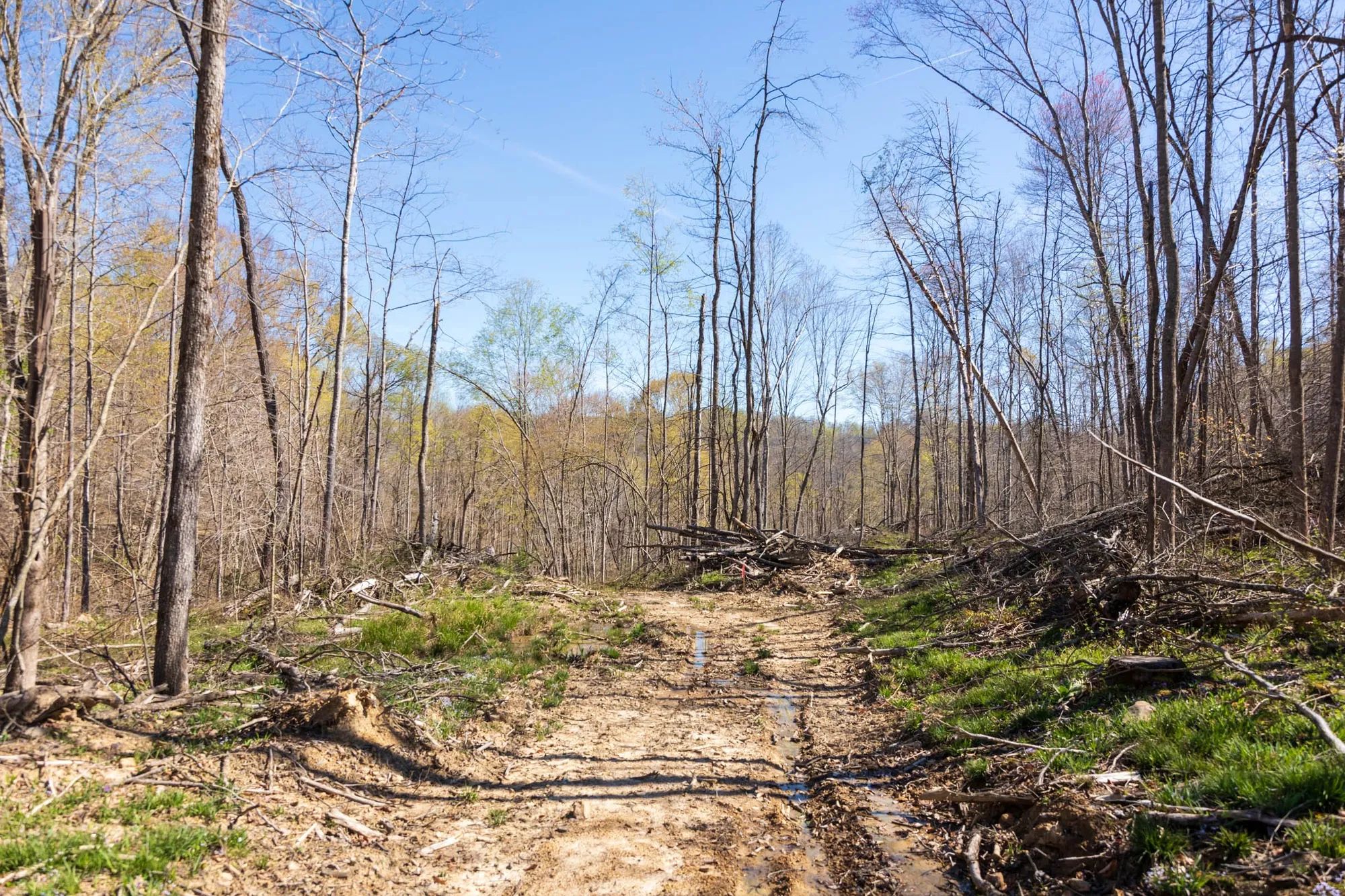 Creek Hollow Phase I Tract 44 in Rockcastle County, KY