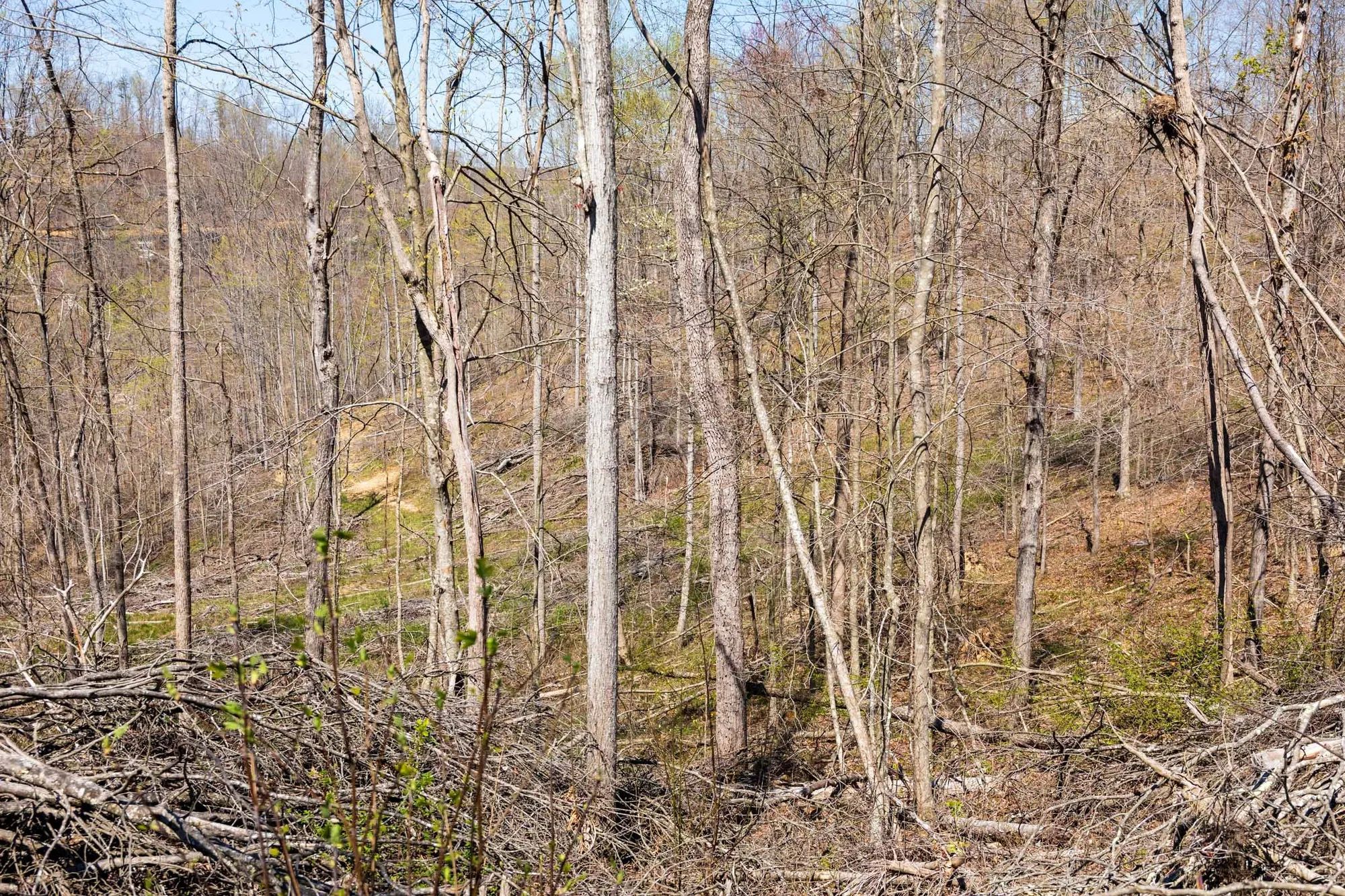 Creek Hollow Phase I Tract 44 in Rockcastle County, KY