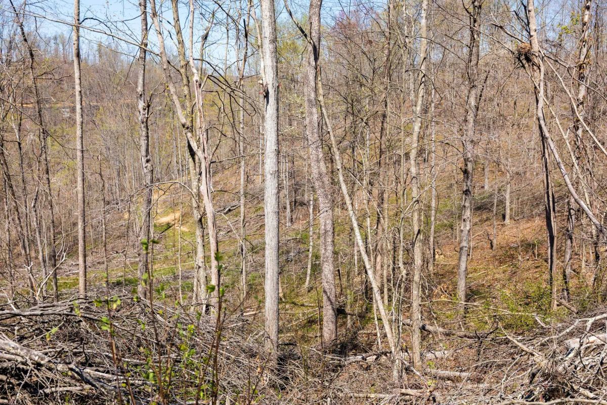Creek Hollow Phase I Tract 44 - Image 3