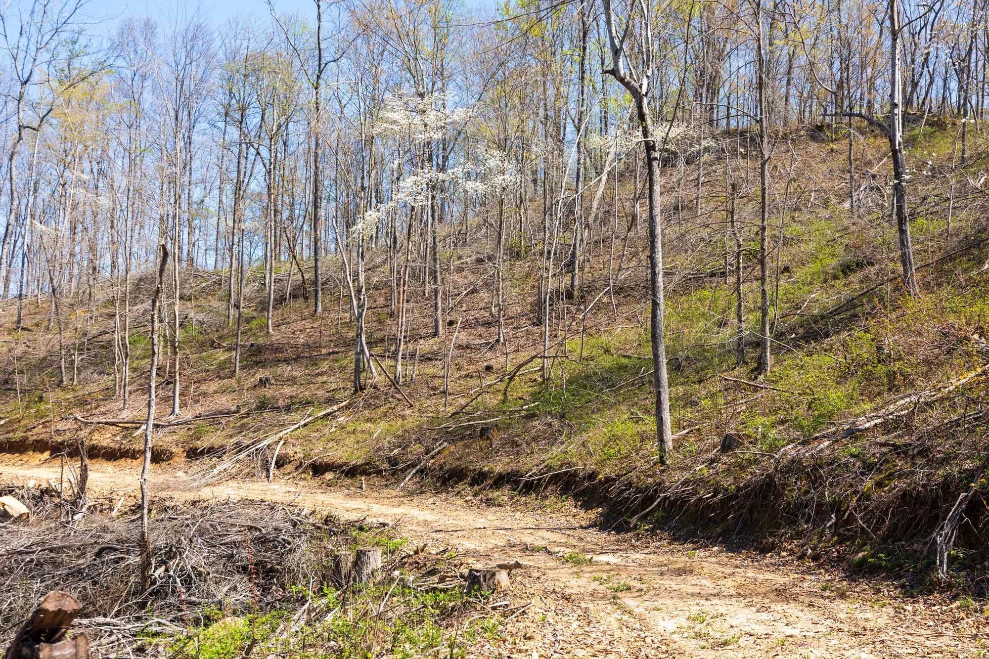 Creek Hollow Phase I Tract 44 in Rockcastle County, KY
