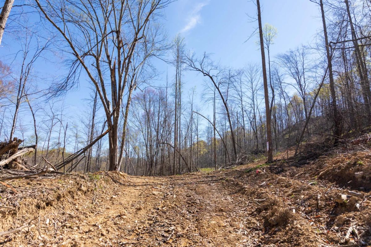 Decorative background for Creek Hollow Phase I Tract 44 image 8