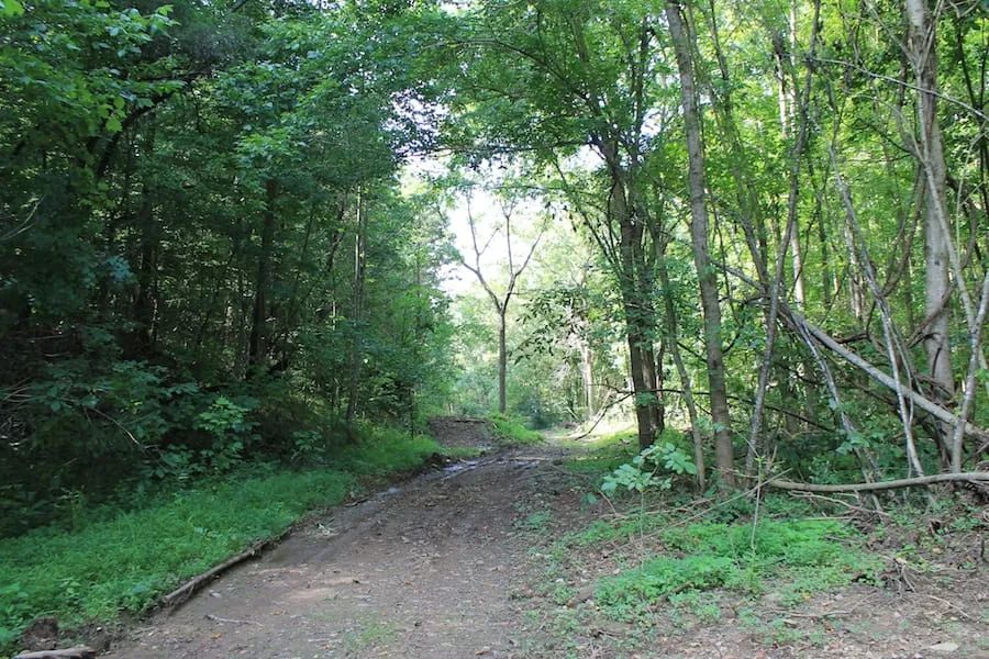 Cumberland Ridge Ranch Tract 10 in Cumberland County, KY