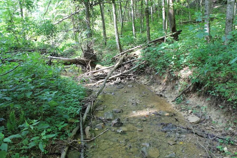 Decorative background for Cumberland Ridge Ranch Tract 10 image 7