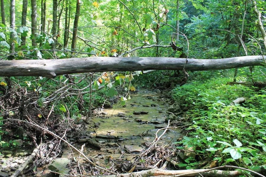 Decorative background for Cumberland Ridge Ranch Tract 10 image 8