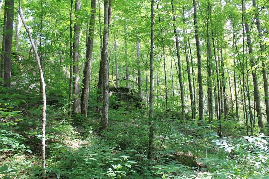 Decorative background for Cumberland Ridge Ranch Tract 10 image 13