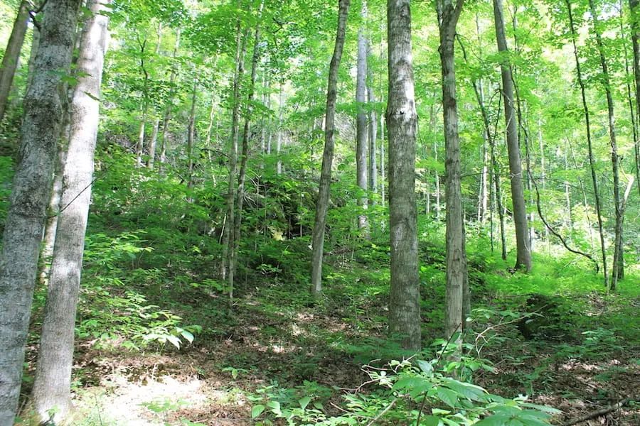 Decorative background for Cumberland Ridge Ranch Tract 10 image 16