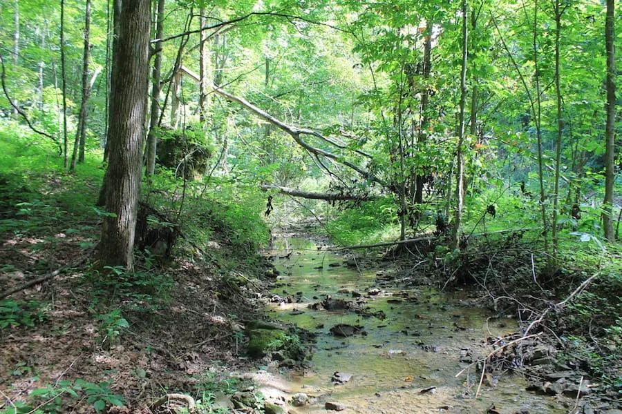 Decorative background for Cumberland Ridge Ranch Tract 10 image 17