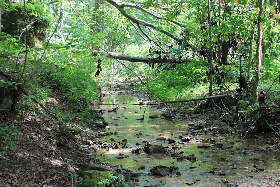 Decorative background for Cumberland Ridge Ranch Tract 10 image 18