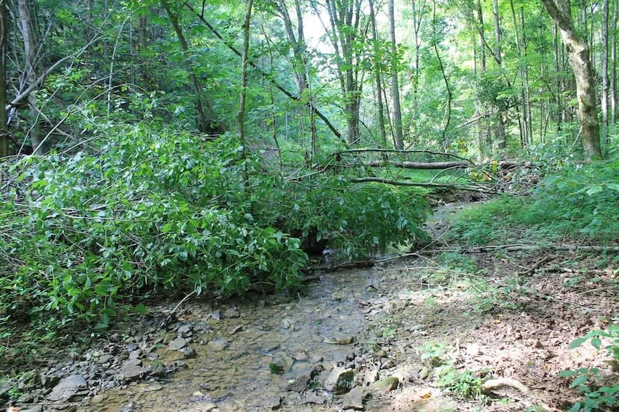 Decorative background for Cumberland Ridge Ranch Tract 10 image 19