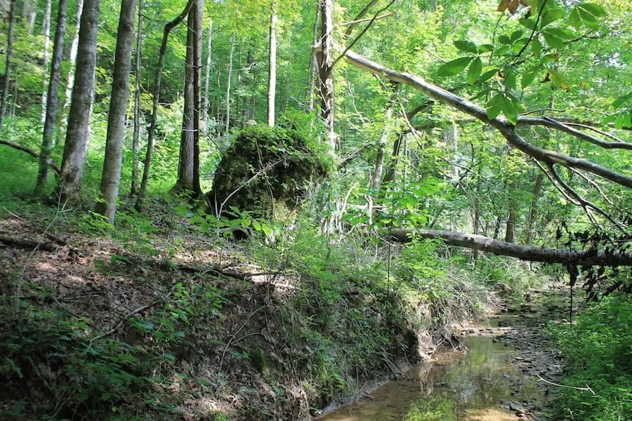 Decorative background for Cumberland Ridge Ranch Tract 10 image 20