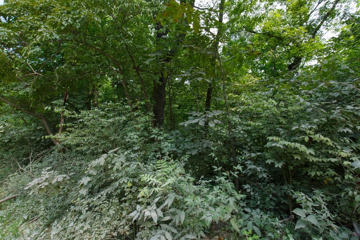 Spring Lake Plat 4 Tract 67 - Image 2