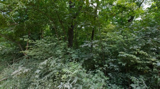 Spring Lake Plat 4 Tract 67 in Miller County, MO