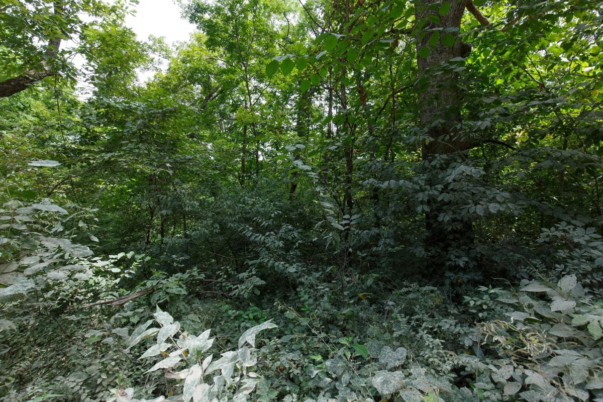 Spring Lake Plat 4 Tract 67 - Image 3