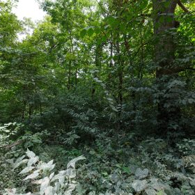 Spring Lake Plat 4 Tract 67 in Miller County, MO