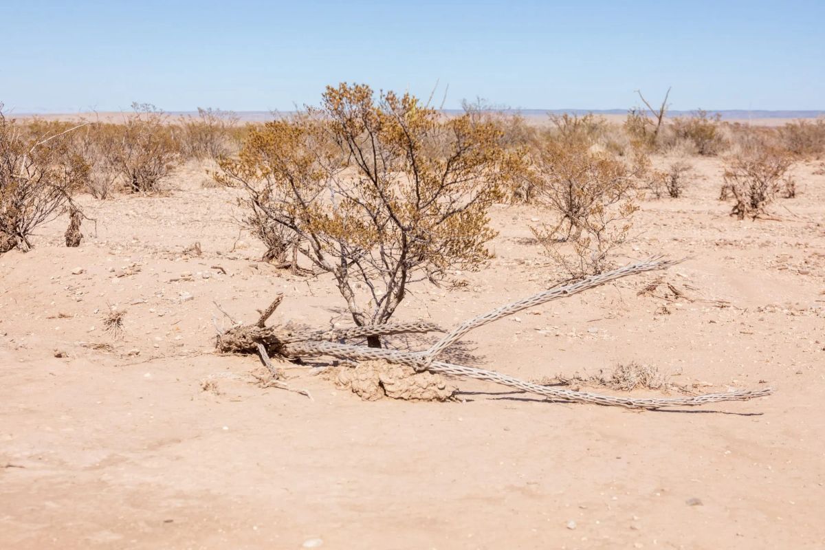 Decorative background for Sunrise Ranches Phase IV Tract 154 image 5
