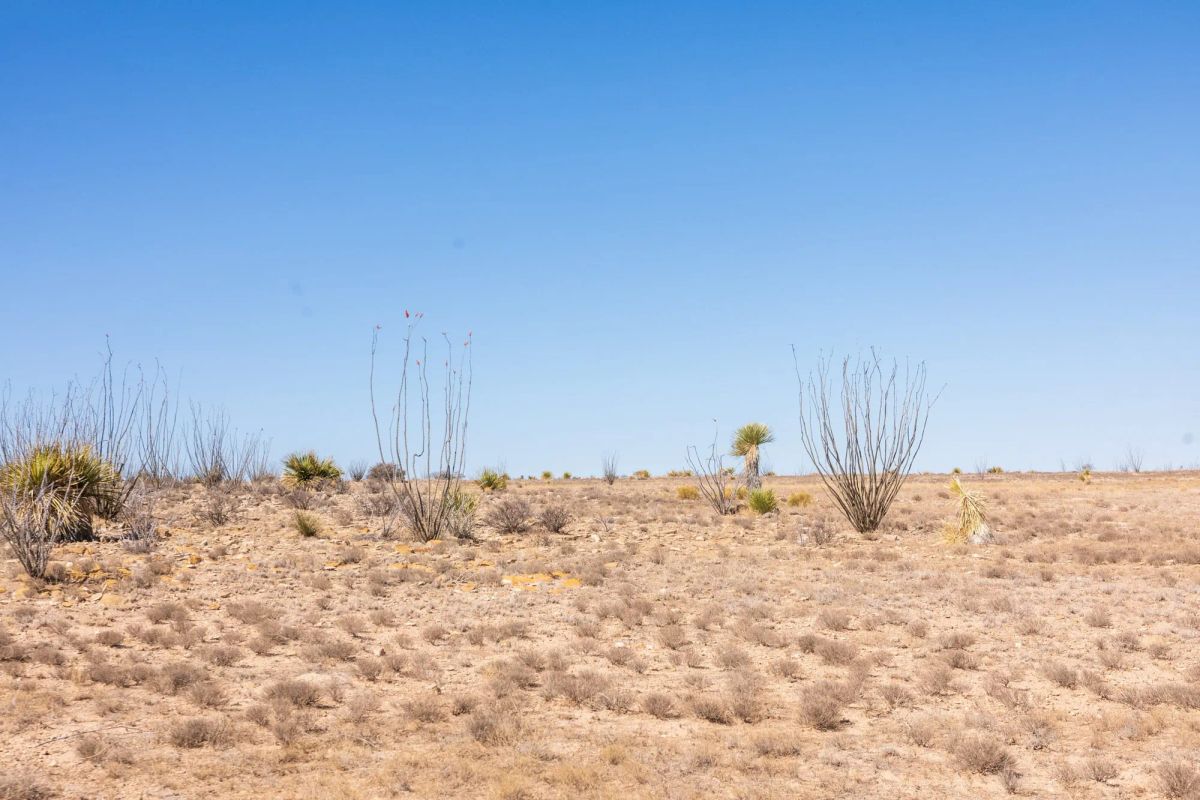 Decorative background for Sunrise Ranches Phase IV Tract 154 image 6