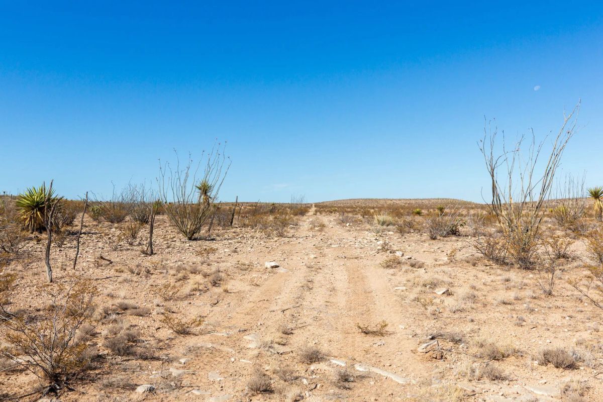 Decorative background for Sunrise Ranches Phase IV Tract 154 image 7