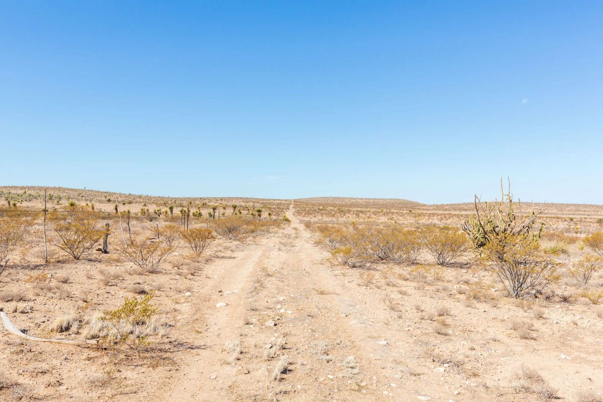 Decorative background for Sunrise Ranches Phase IV Tract 154 image 9