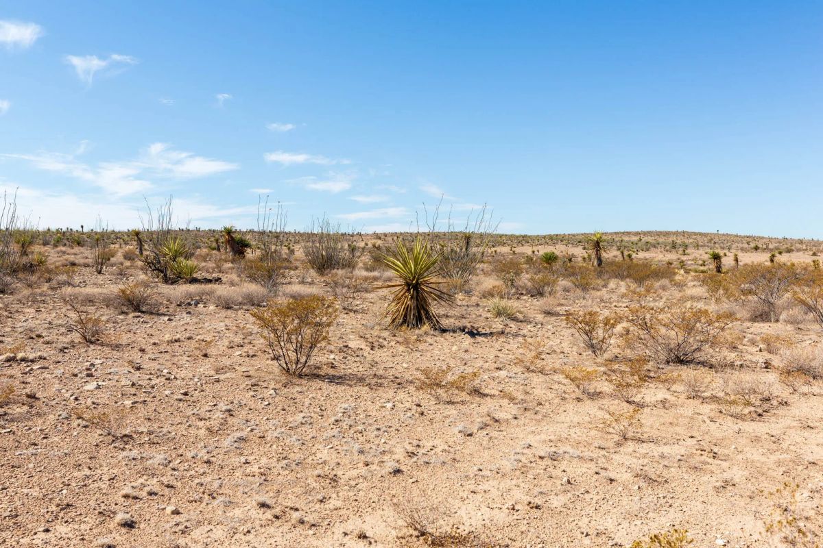Decorative background for Sunrise Ranches Phase IV Tract 154 image 10