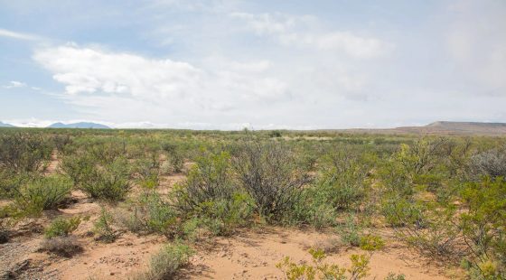 Sunset Ranches Tract 9 in Hudspeth County, TX
