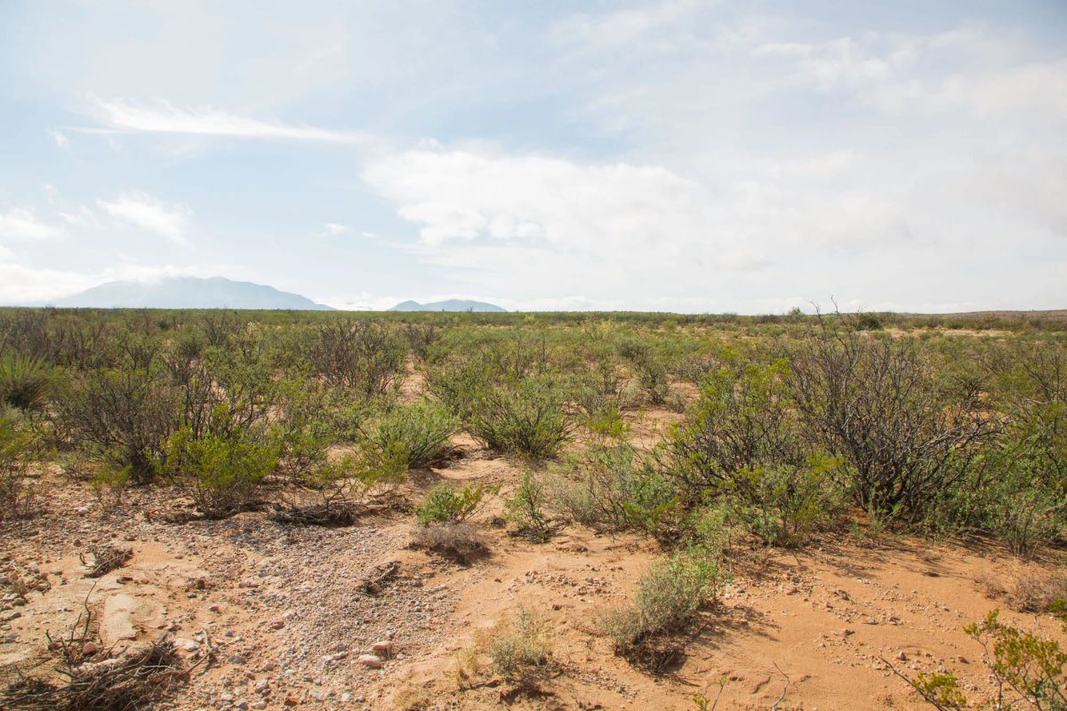 Sunset Ranches Tract 9 - Image 3