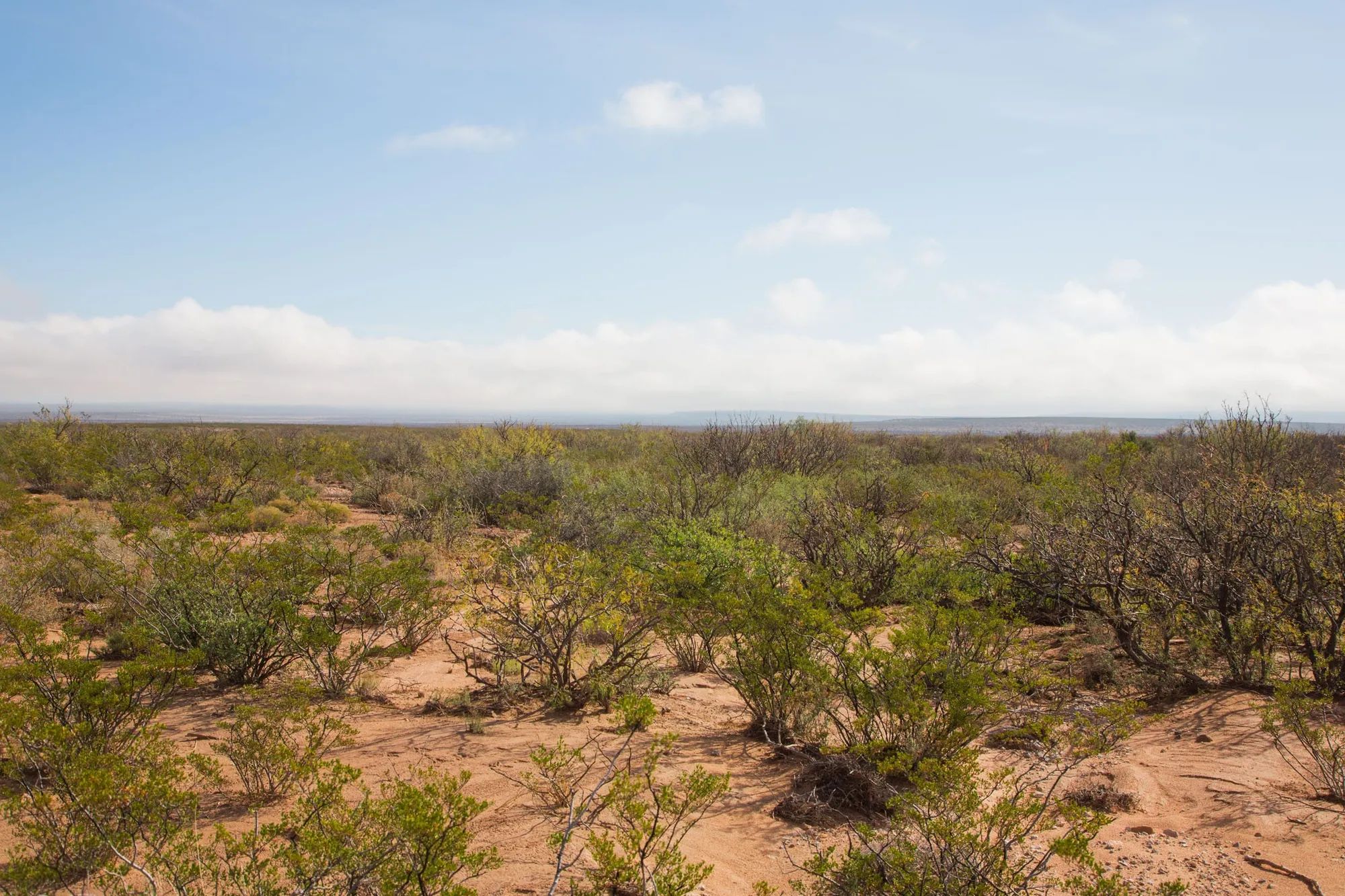 Sunset Ranches Tract 9 in Hudspeth County, TX