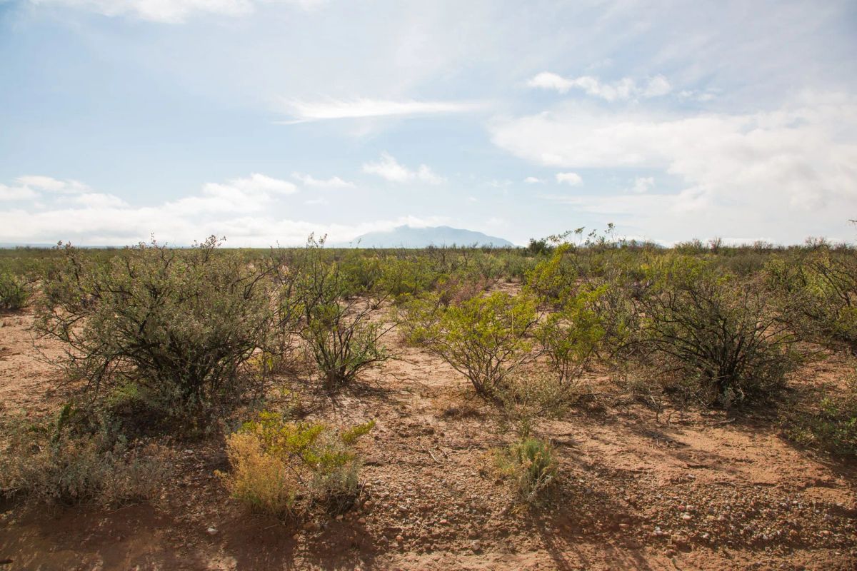 Decorative background for Sunset Ranches Tract 9 image 7