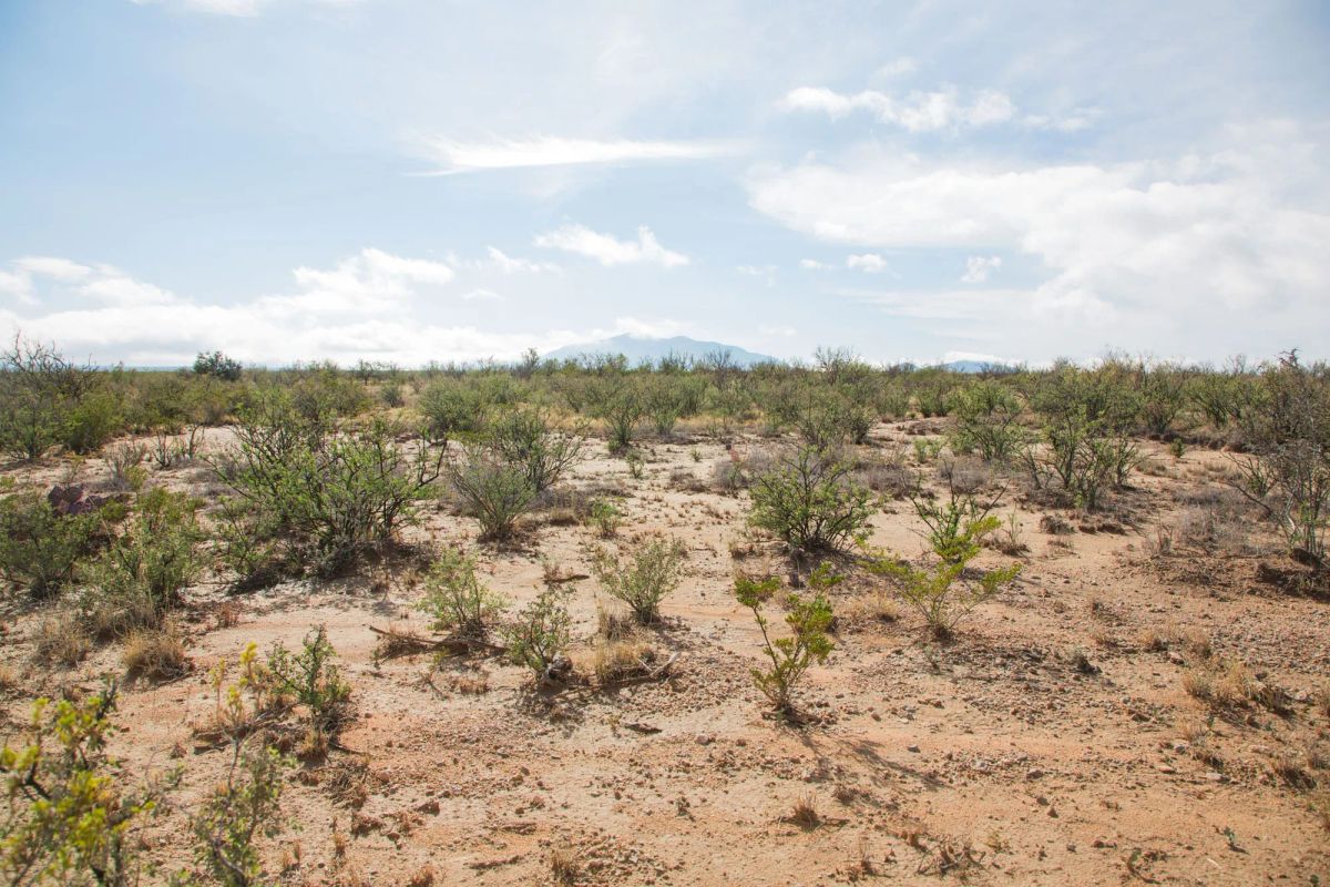 Decorative background for Sunset Ranches Tract 9 image 8