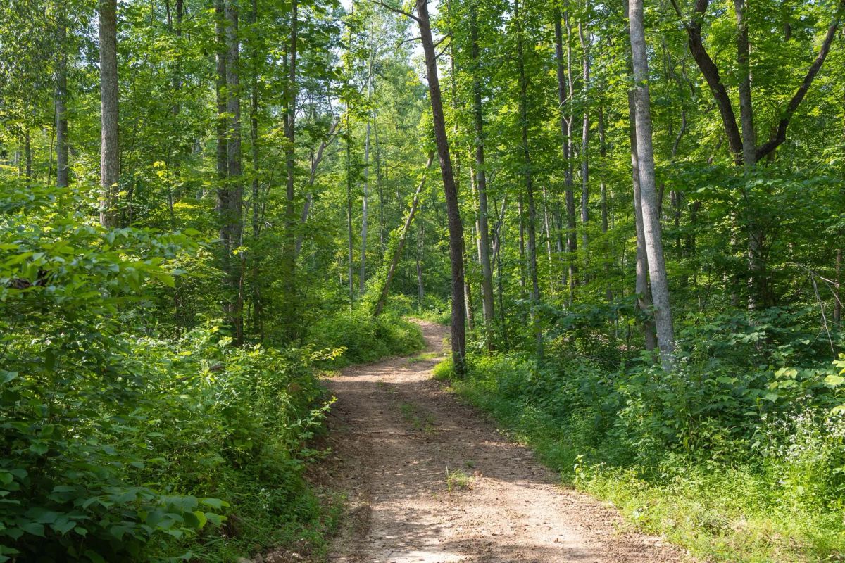 Creek Hollow Phase II Tract 79 - Main image