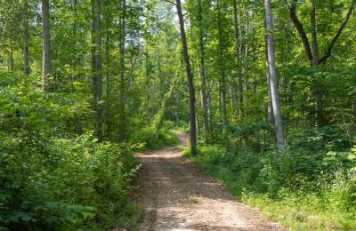 Creek Hollow Phase II Tract 79