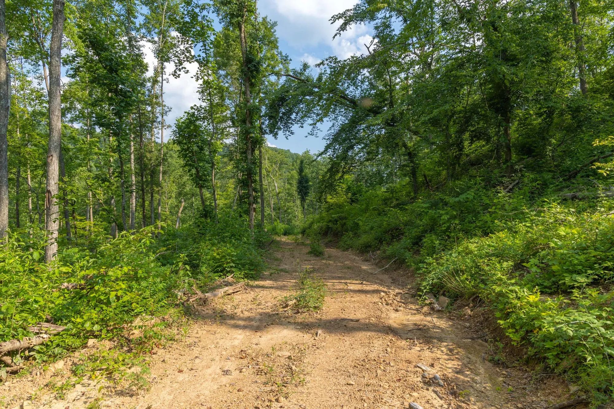 Creek Hollow Phase II Tract 79 in Rockcastle County, KY