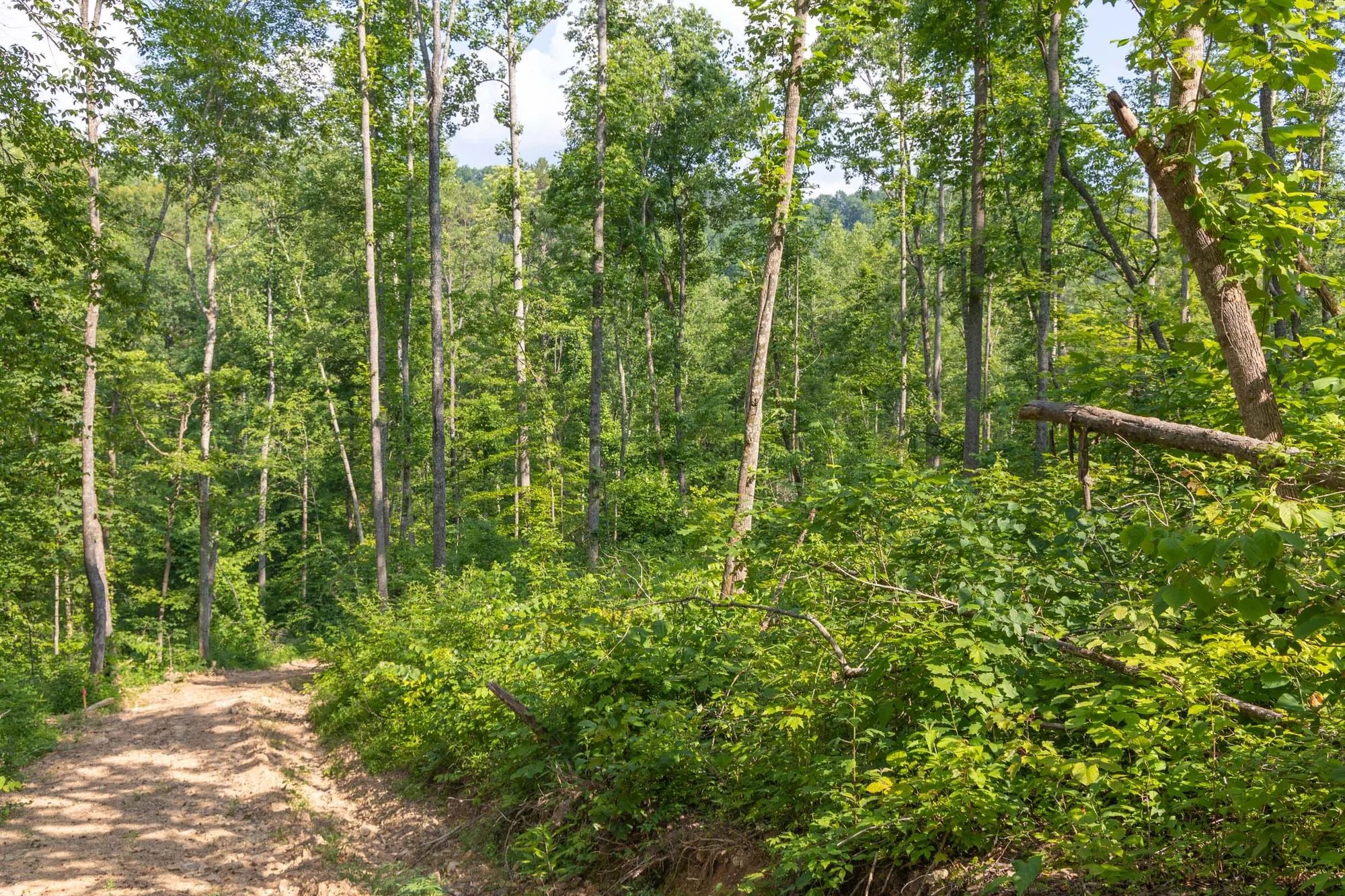 Creek Hollow Phase II Tract 79 in Rockcastle County, KY