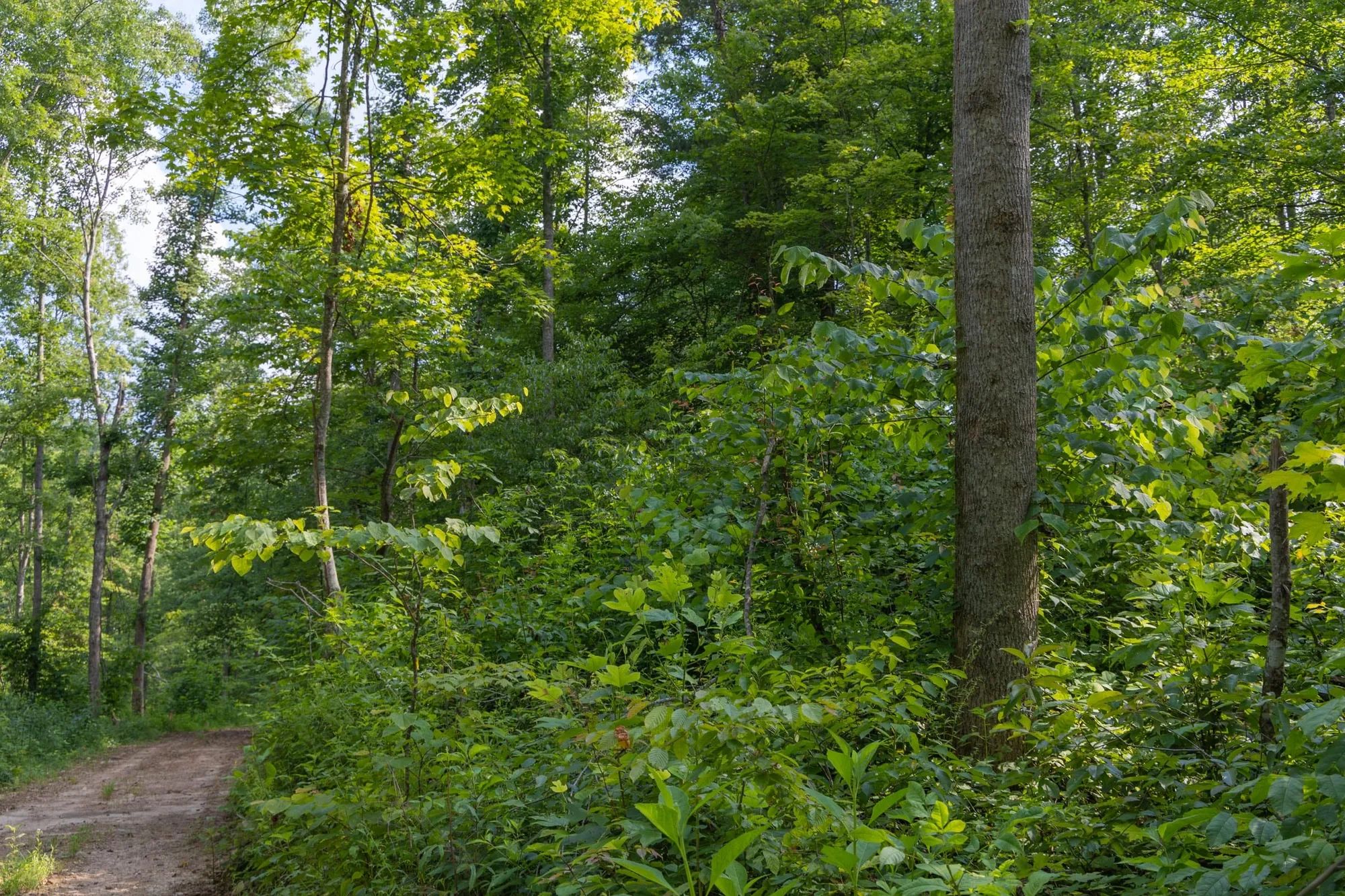 Creek Hollow Phase II Tract 79 in Rockcastle County, KY