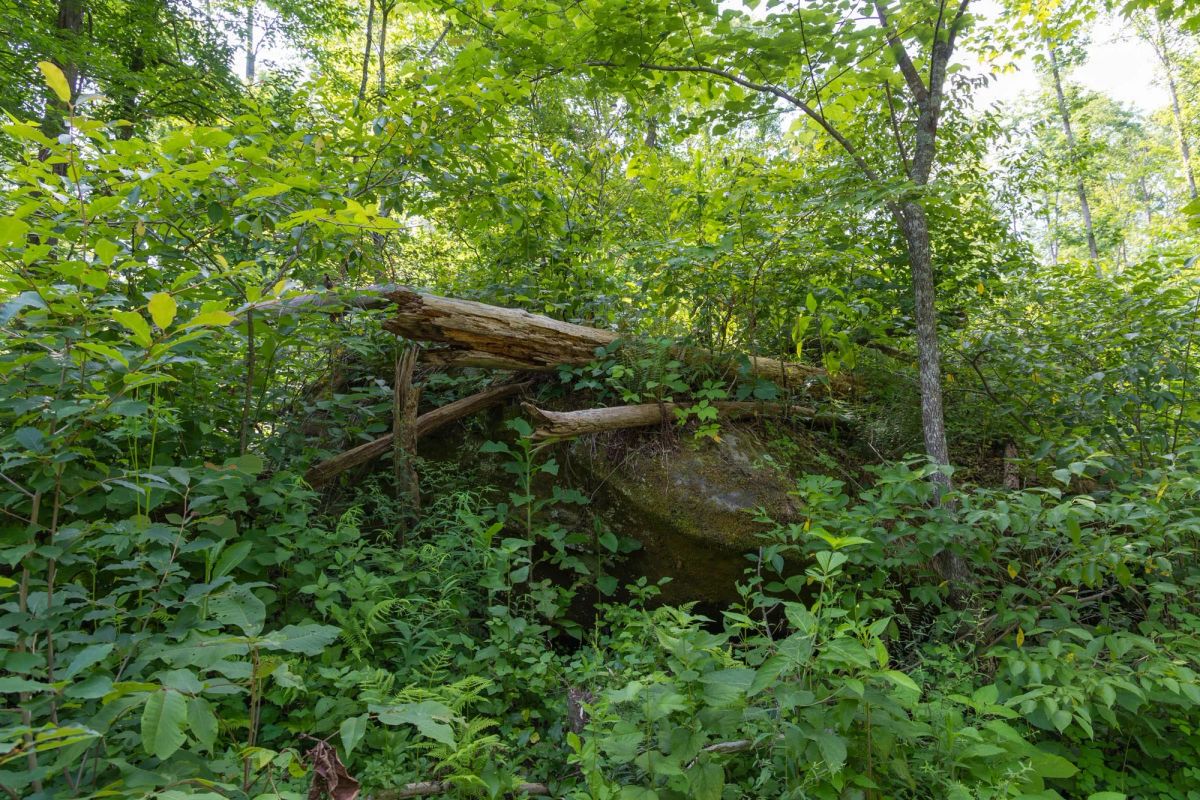 Decorative background for Creek Hollow Phase II Tract 79 image 5
