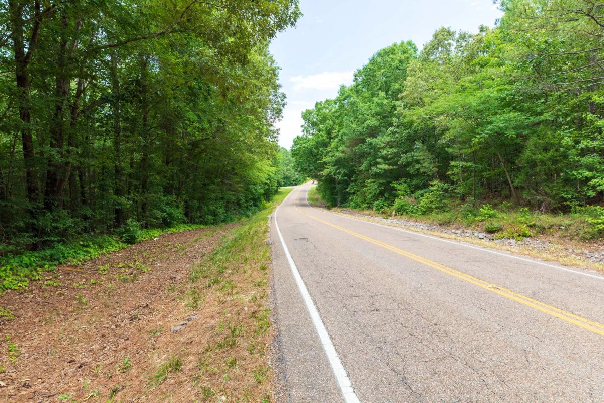 Decorative background for Whiskey Ridge Tract 4 image 6