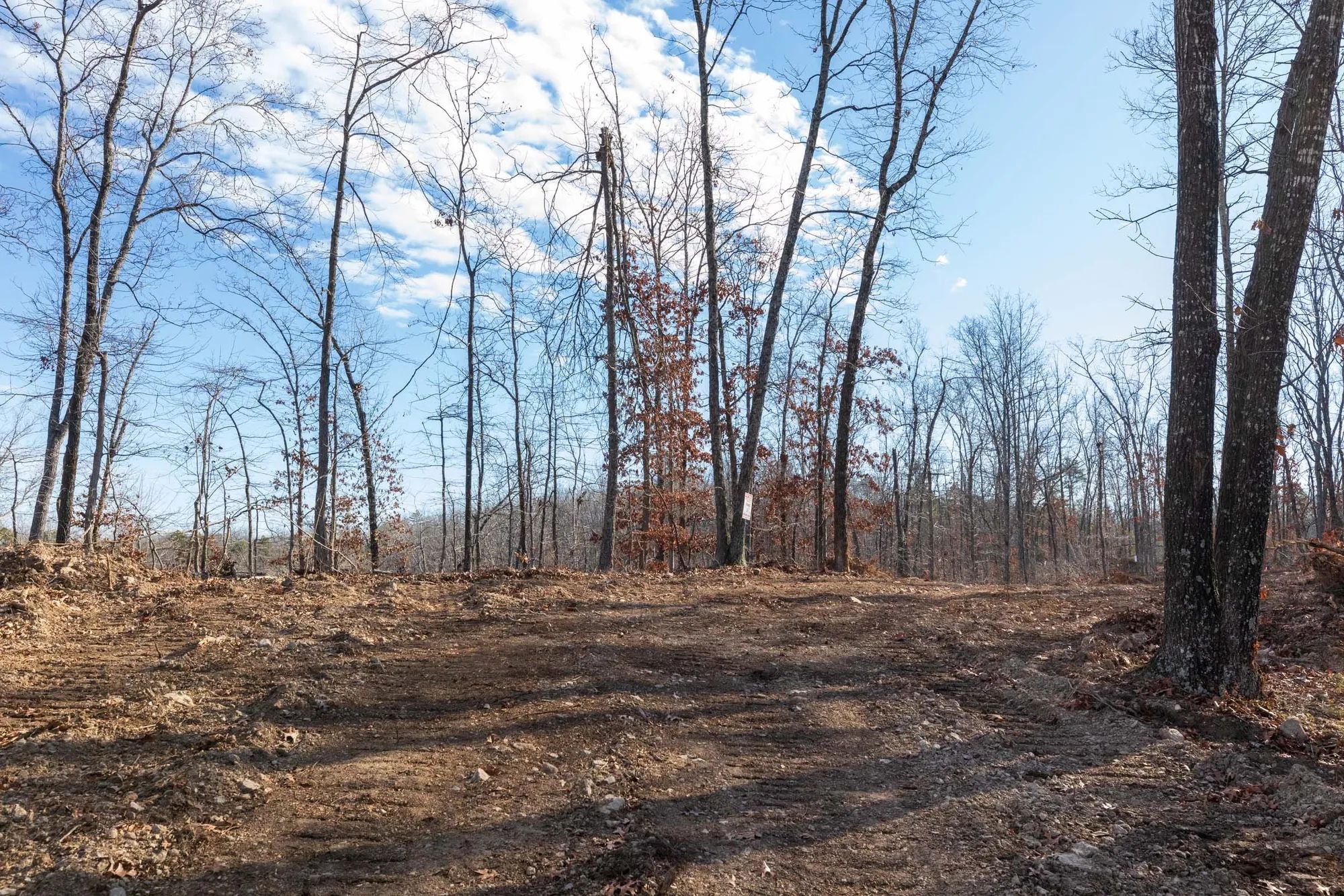Cypress Ridge Tract 40 in Reynolds County, MO