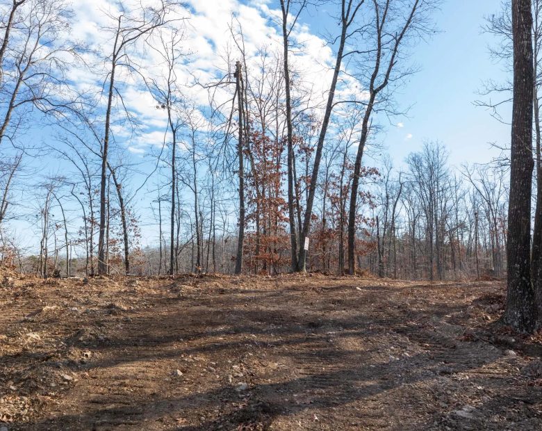 Cypress Ridge Tract 40 in Reynolds County, MO