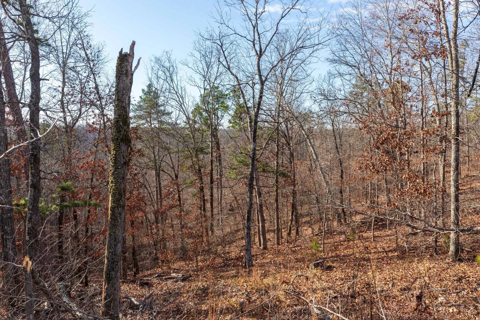 Cypress Ridge Tract 40 in Reynolds County, MO