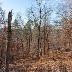 Cypress Ridge Tract 40 in Reynolds County, MO