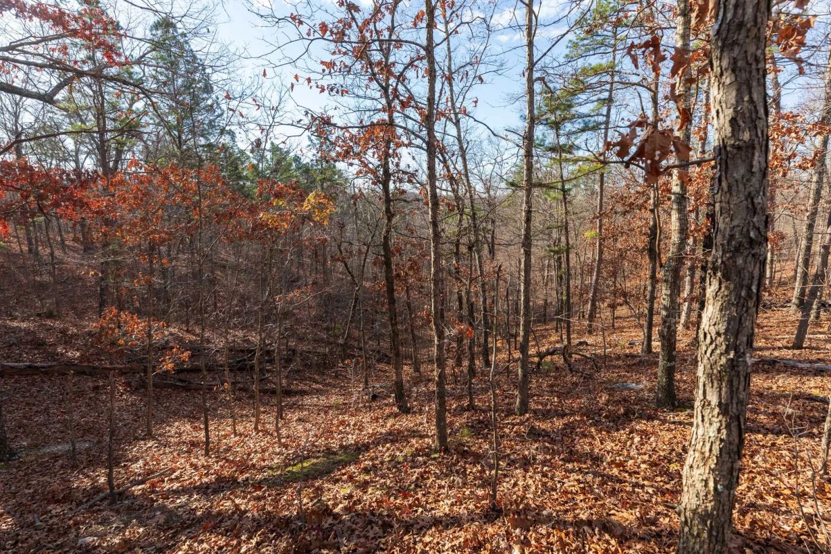 Decorative background for Cypress Ridge Tract 40 image 7
