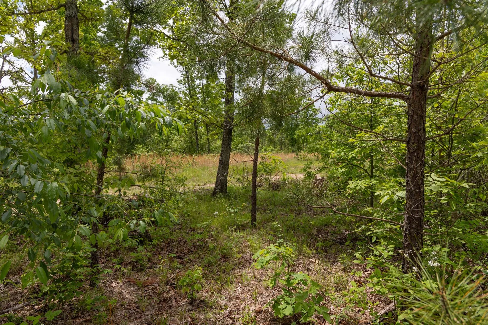 Sleepy Hollow Phase II Tract 77 in Texas County, MO