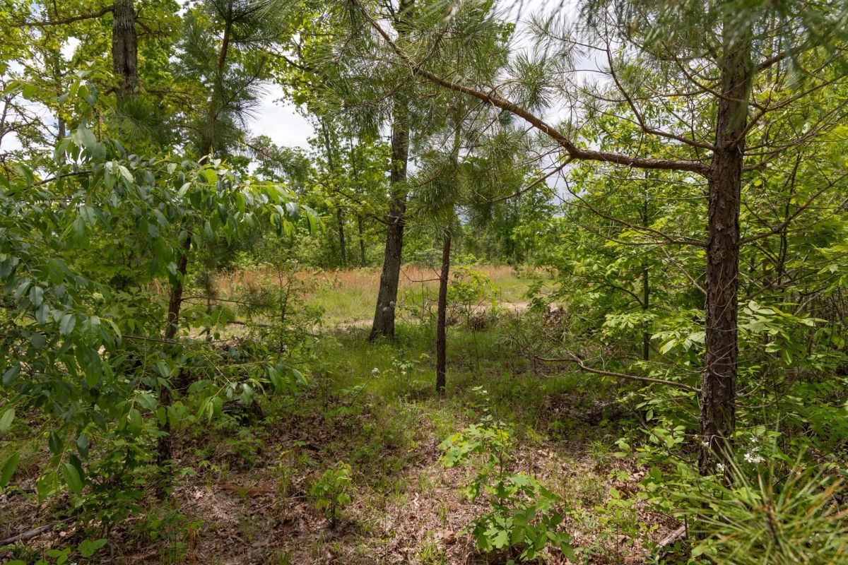 Sleepy Hollow Phase II Tract 77 - Main image