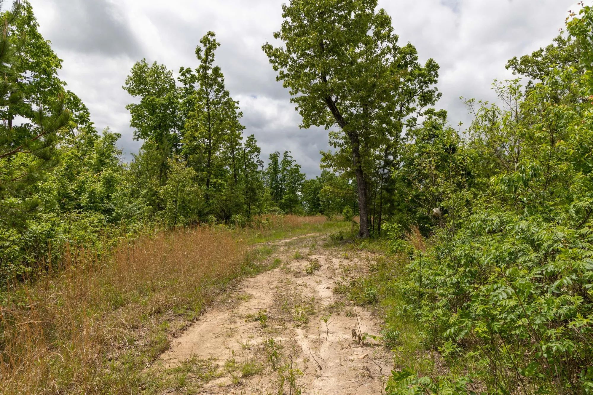 Sleepy Hollow Phase II Tract 77 in Texas County, MO