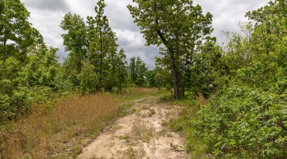 Sleepy Hollow Phase II Tract 77 in Texas County, MO