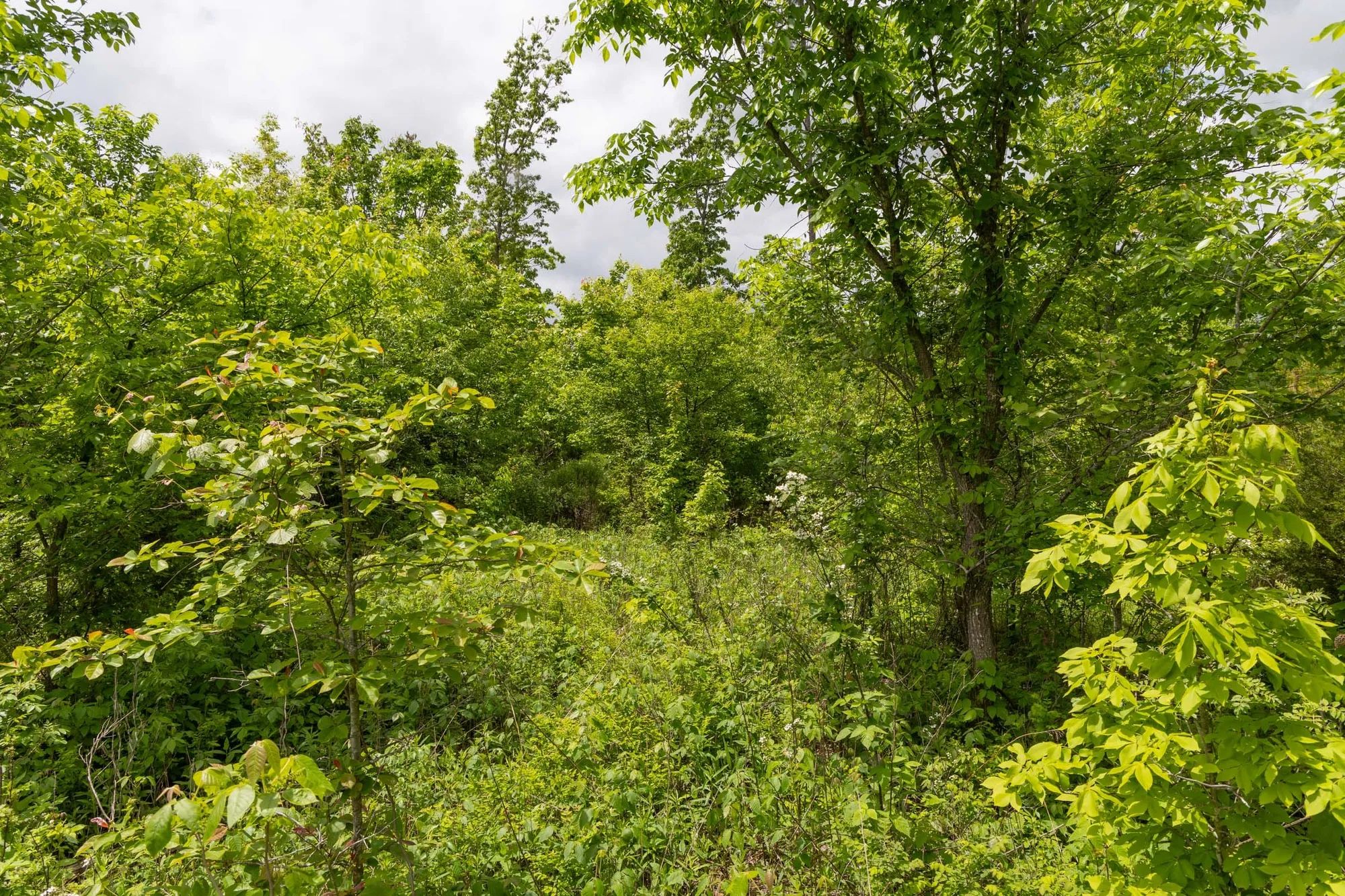 Sleepy Hollow Phase II Tract 77 in Texas County, MO