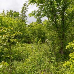 Sleepy Hollow Phase II Tract 77 in Texas County, MO