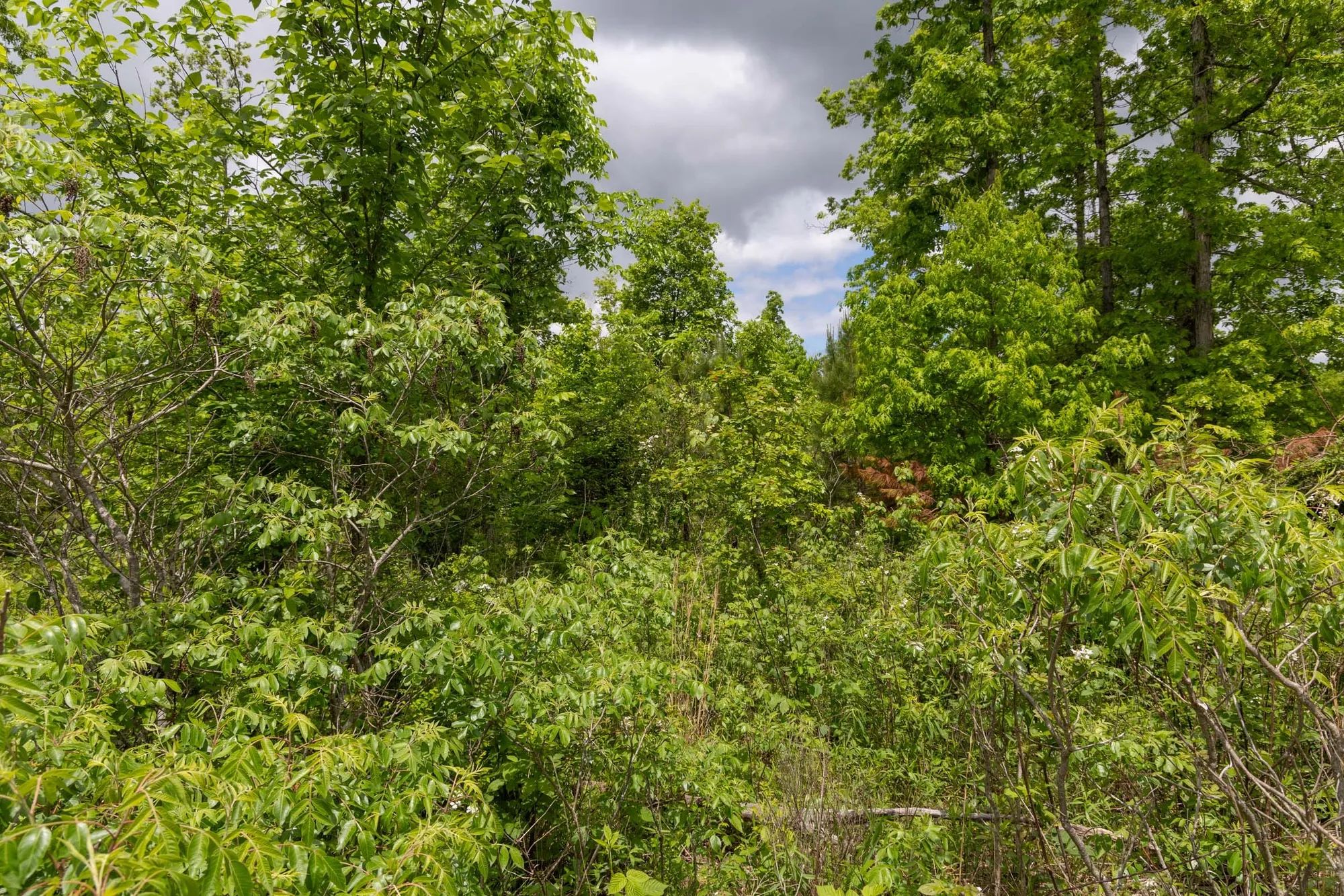 Sleepy Hollow Phase II Tract 77 in Texas County, MO